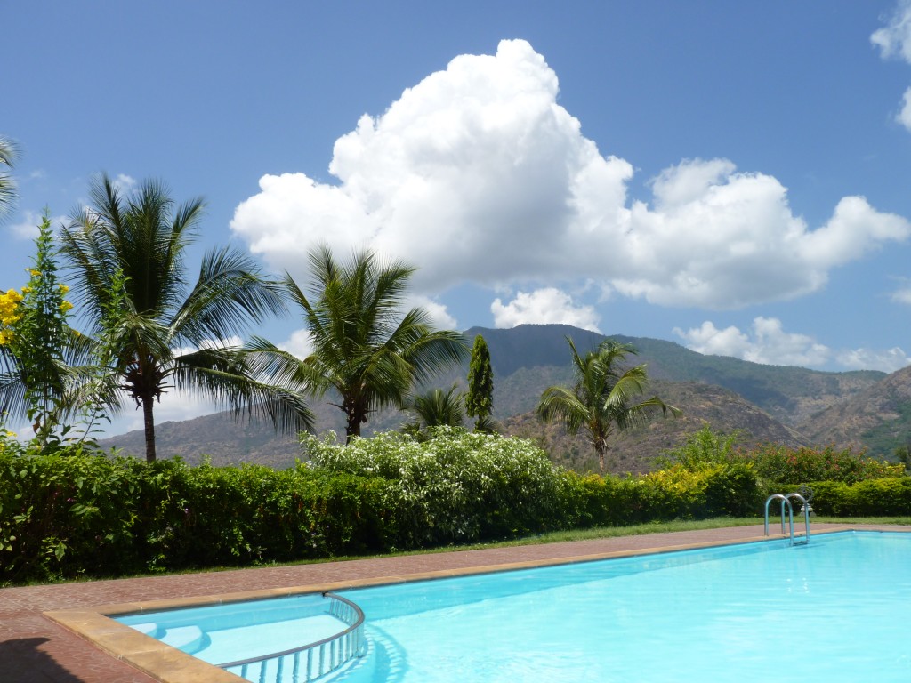 Pool, palms and mountains